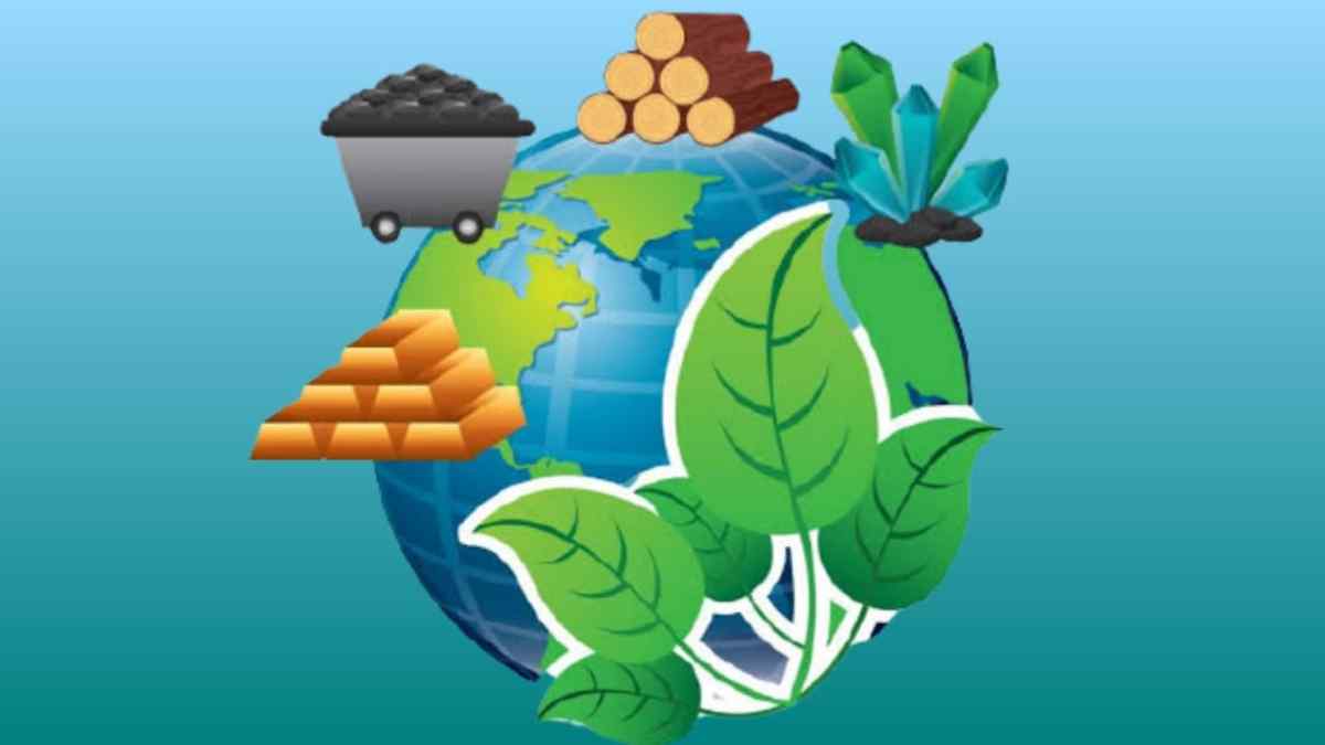 What is the difference between renewable and nonrenewable resources?