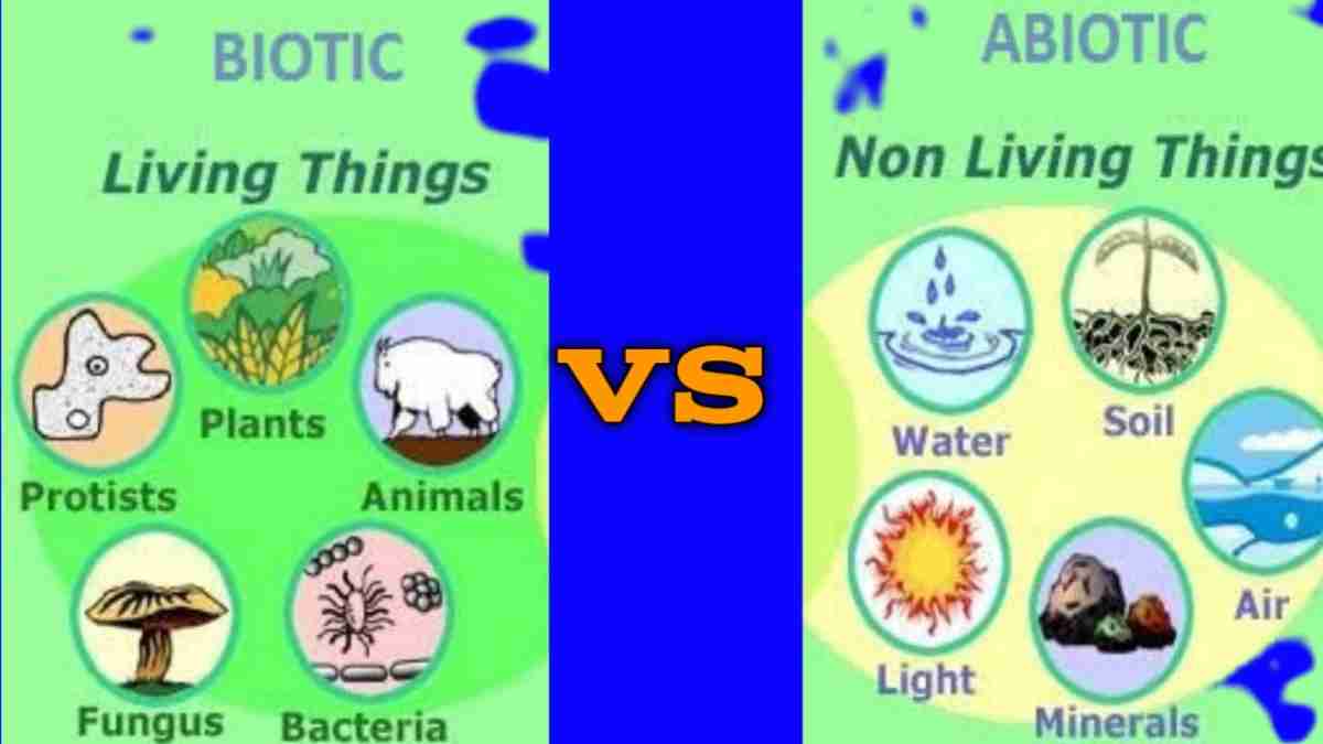 5 difference between Biotic and Abiotic resources